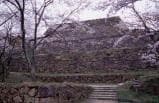 Yoneko Castle Ruins in Spring