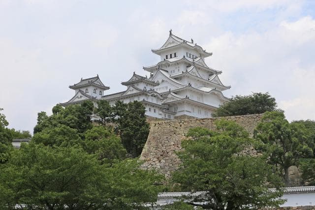 Himeji-jo Castle (from Mikuni-bori)