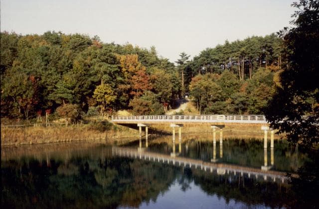 Rest Forest