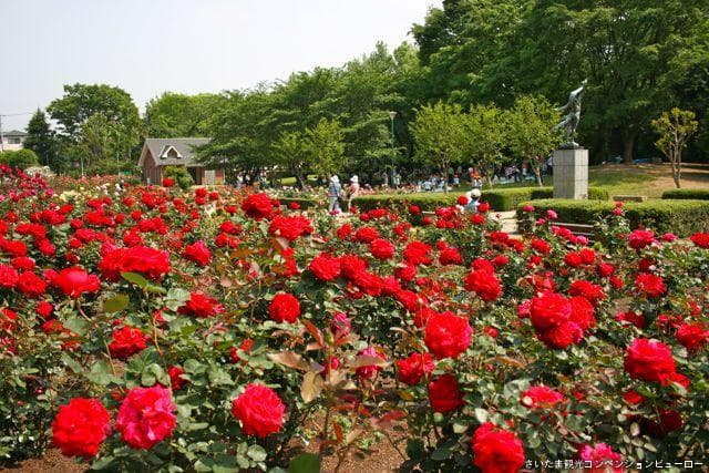 Yono Park