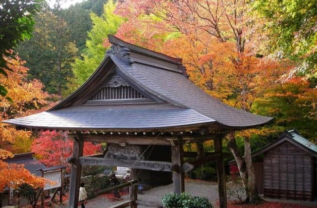 天開山口窄泰運寺 紅葉