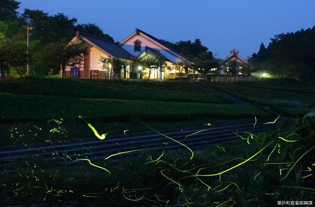 Ubuka no Sato (Firefly Period)