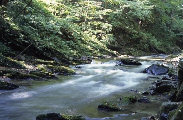 八溝山