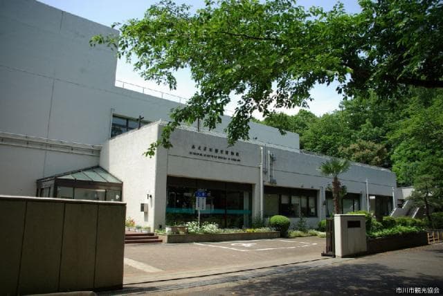Ichikawa History Museum