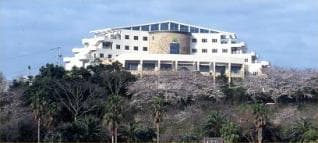 Kujakuso