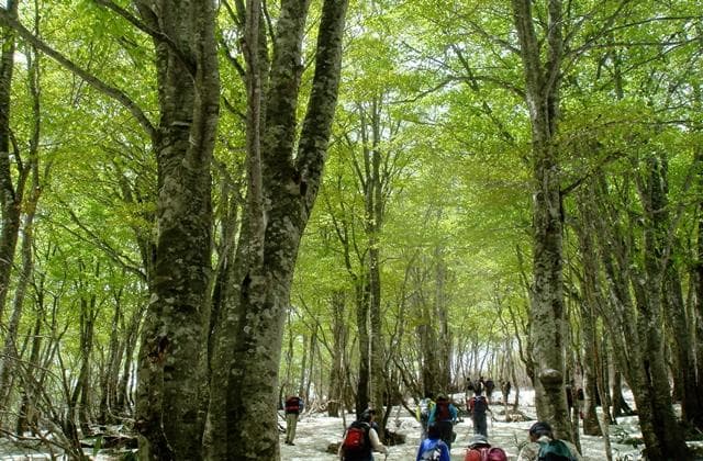 葉山 町民登山
