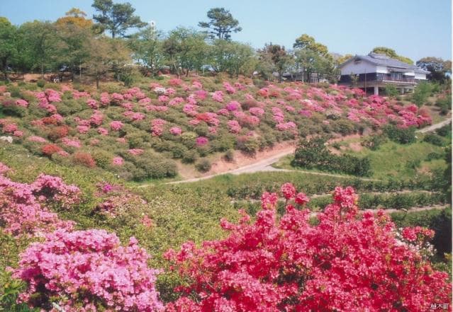 田原坂公園