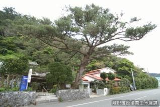 Saigo-matsu