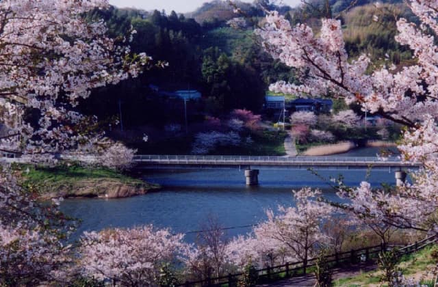 Sakuma Dam
