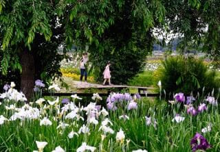 Ayame Garden