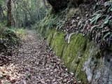 Ishijoyama Kamigoishi