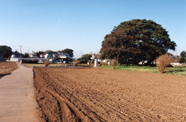 Horigome Kaizuka Fujisaki