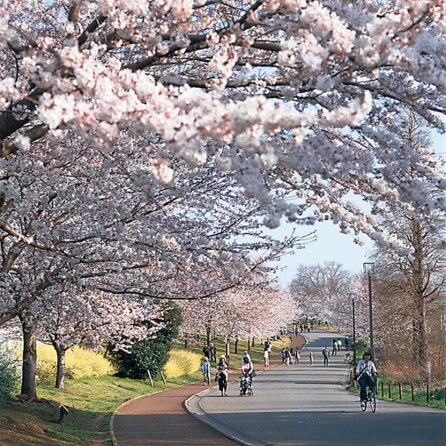 Aoba no Mori Park