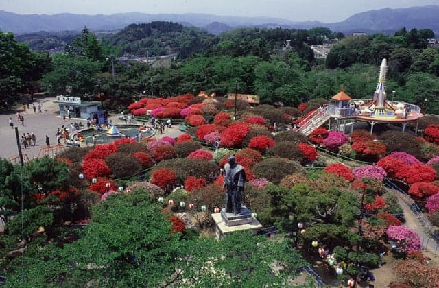 松ヶ岡公園のツツジ