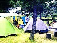 Public marina campsite