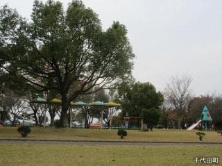 Lawn Square 2