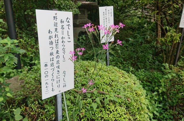 Manyo Garden