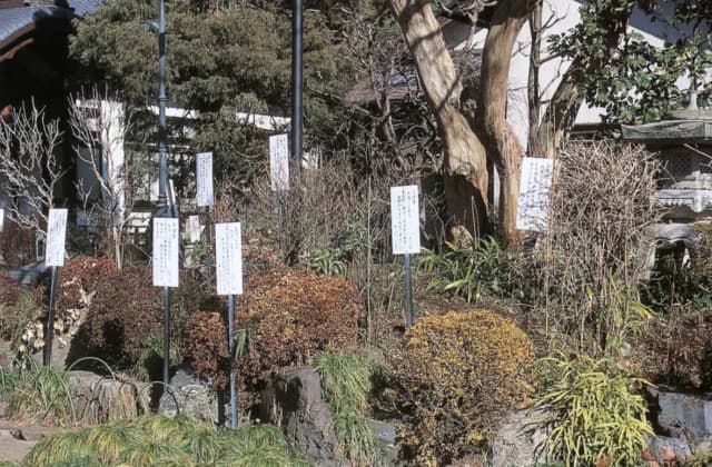 Manyo Garden