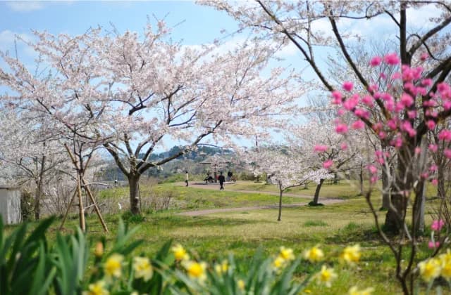 多聞山