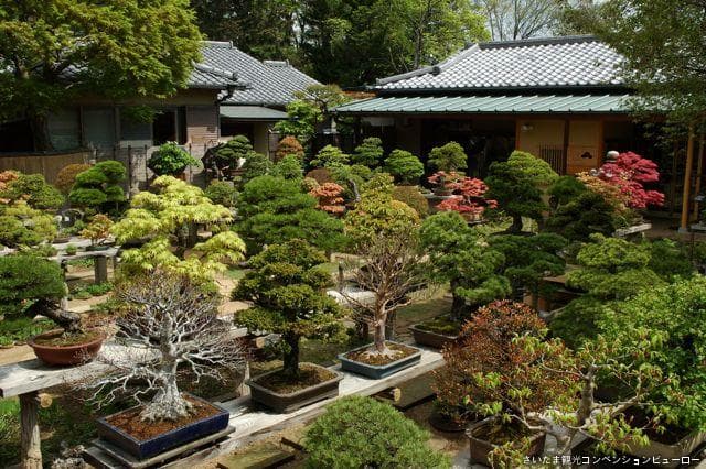 Omiya Bonsai Village (Kiyoka Garden)