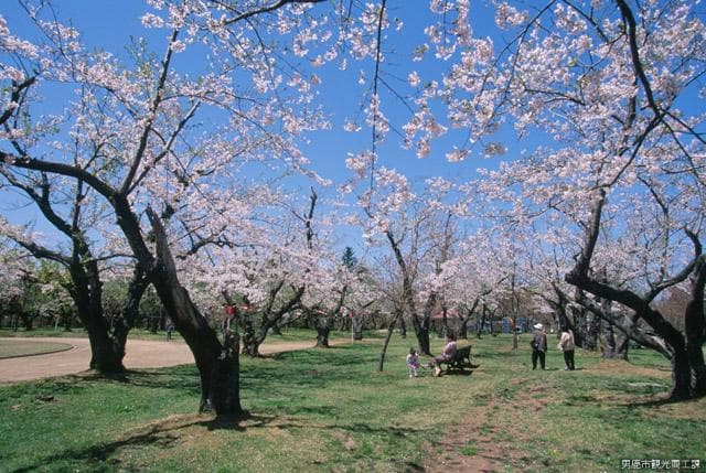 Tateyama Neighborhood Park