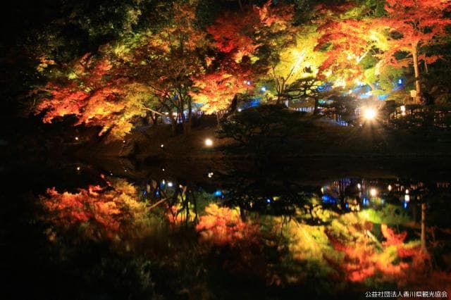 Light up in autumn