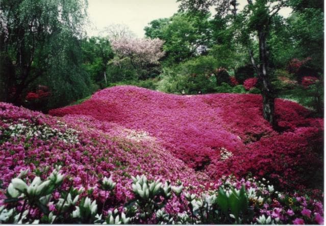 Gunma Flower Highland