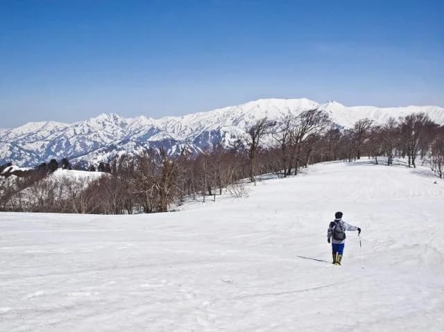 Mt. Koyo (view)
