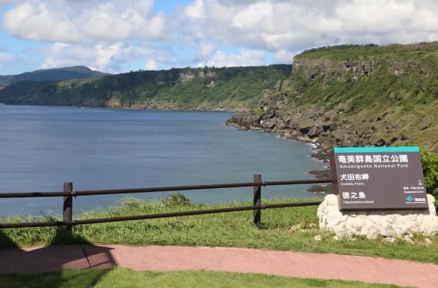 犬田布岬