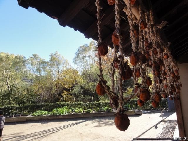 Oldness and Farmer Experience Center