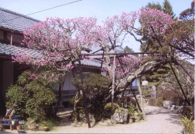 Hensho-in Temple