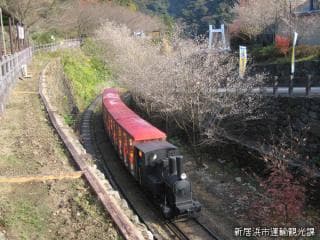 鉱山鉄道と冬桜