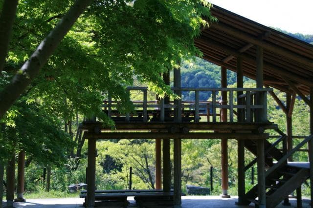 Arbor