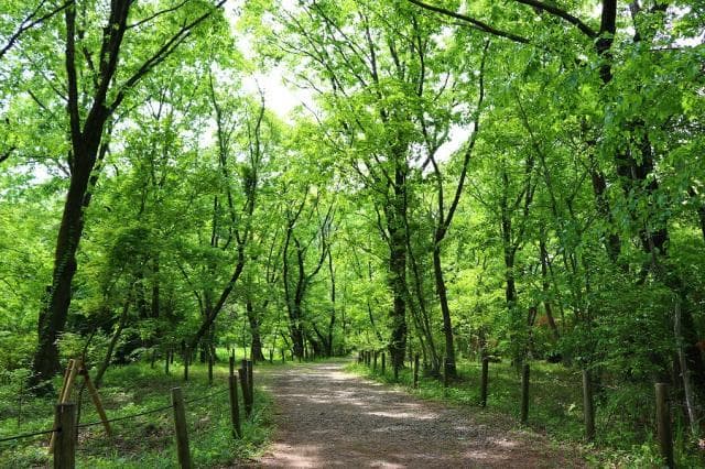 No. 3 Green Trust Conservation Site