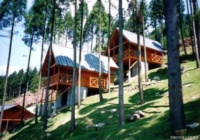 Panta Forest Campsite