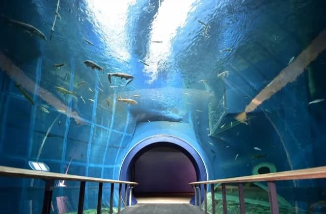 Tunnel tank