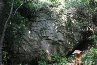 Parrot stone