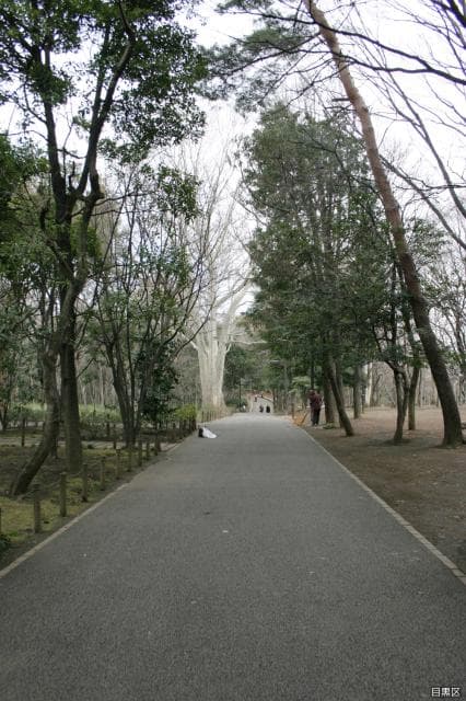 Rinshinomori Park