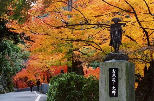 The autumn leaves of Jakukoin