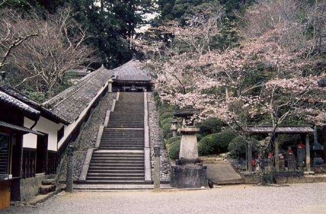 Ladies Mt. Koya-san Niu Daishi Jinguji Temple