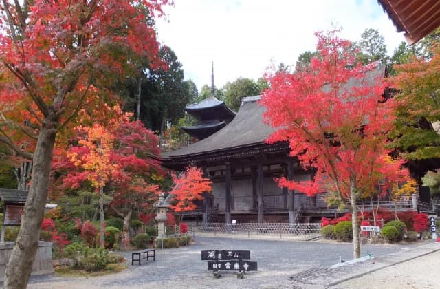 常楽寺 紅葉