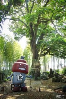 Power spot “Tunoki”