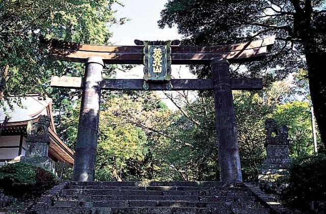 Copper Torii