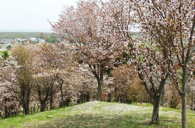 Misonoyama Park