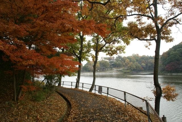 Lake Hatcho
