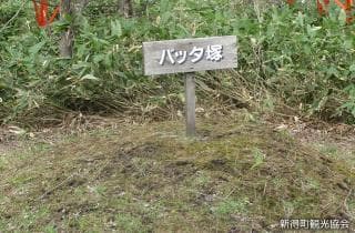 Grasshopper mound
