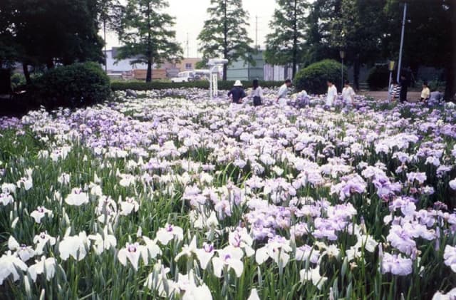 Aburagabuchi Amusement Park