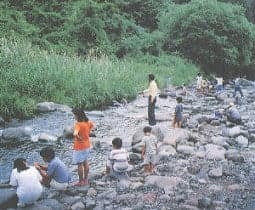 川俣川渓流つり場
