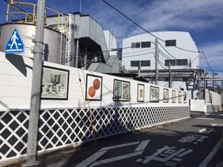 流山本町まちなかミュージアム