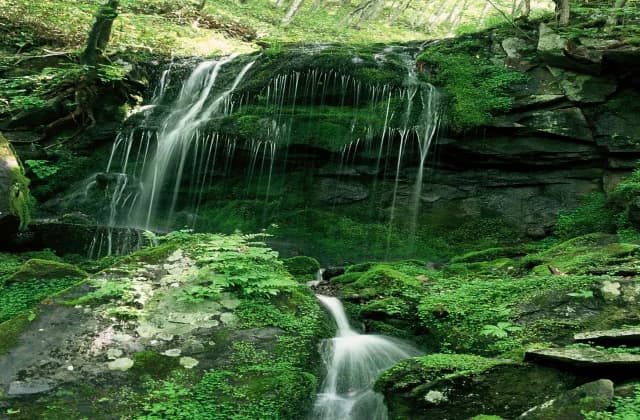 A waterfall
